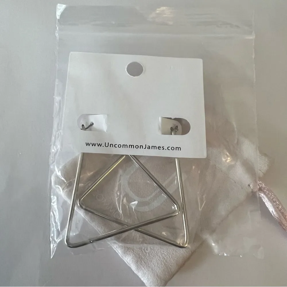 Uncommon James Chemistry Earrings - Silver